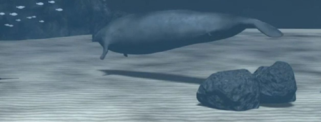 balenă antică