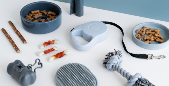 produse pentru animale domestice