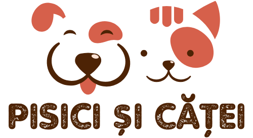 Pisici și căței